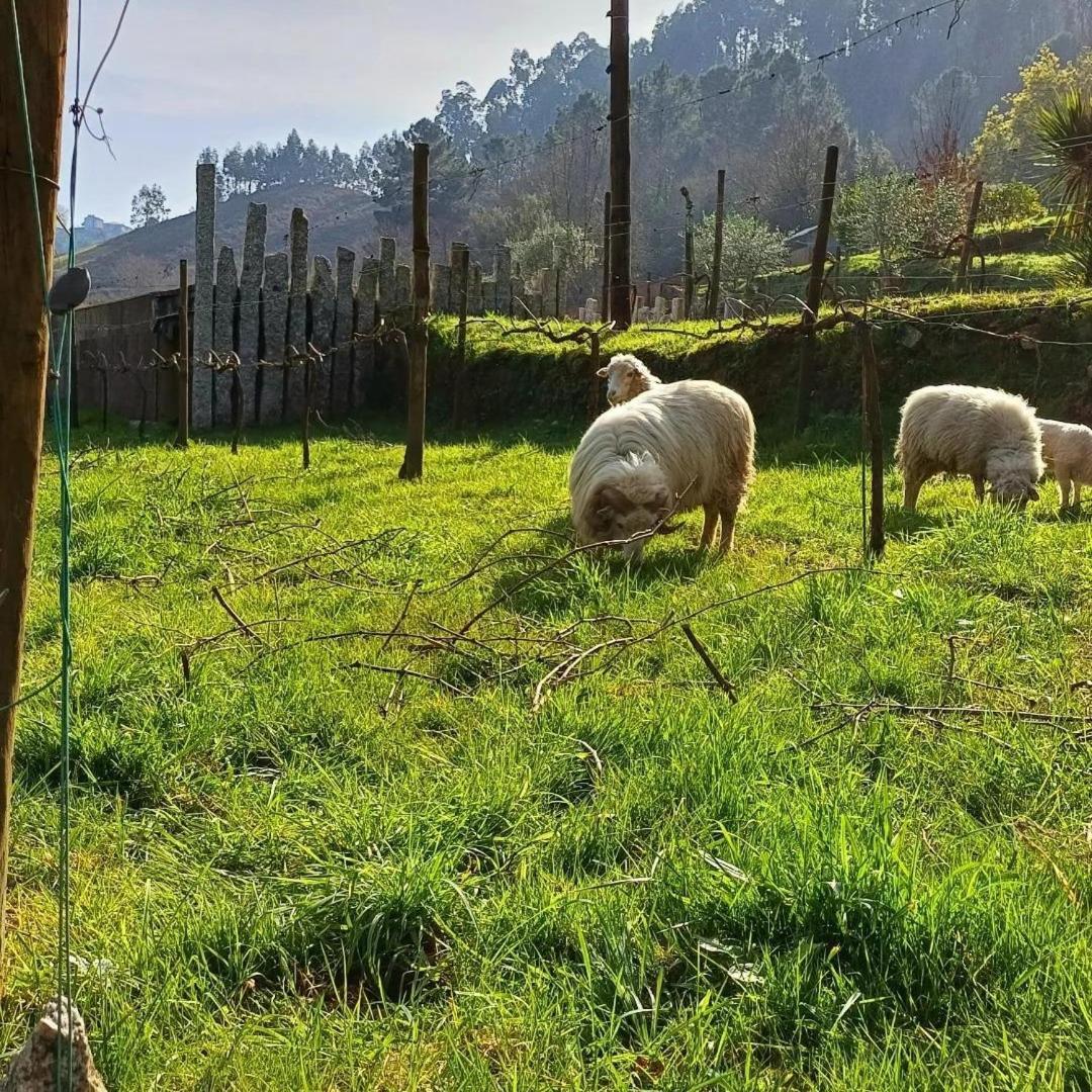 Moinhos Carvalhas Arcos de Valdevez Exterior foto
